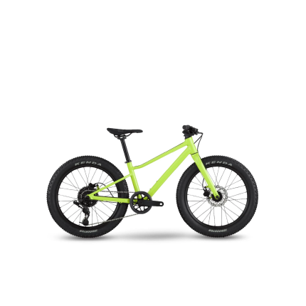 Bicicleta Bmc Twostokre 20 Verde niños